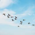 Website migration guide