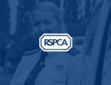 RSPCA Digital Transformation