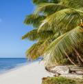 Tropical Sky Luxury Holidays
