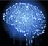 2013-04-data-brain-630x600