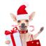 iStock_000077004593_Small