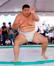 Sumo